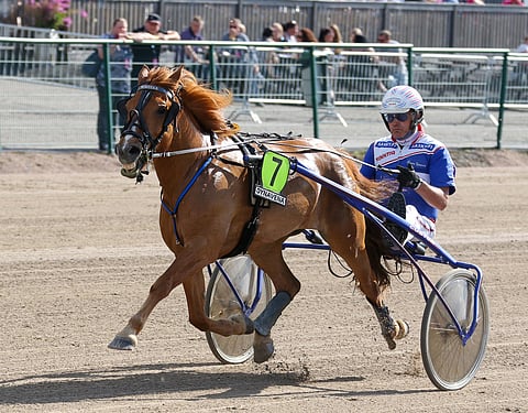 Tuom Ojanperä ja Aurotar jatkavat hyvässä vireessä illan Tammatähdessä Vermossa. Kuva Anu Leppänen