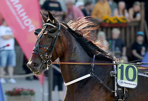 Ifa Racingin tammakriteriumfinalisti Didi Dam jatkaa uraansa Aripekka Pakkasen valmennuksessa.