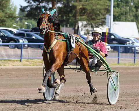 Einstein Sisu toimii ideavihjeen varmana.
