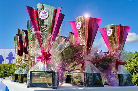 Ravikuninkaalliset ratkotaan ensi viikonloppuna Seinäjoella.