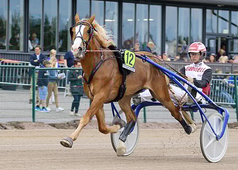 Stallone osoitti Jokimaalla palanneensa tasolleen ja katkaisi kilpakumppaninsa hurjan voittoputken.