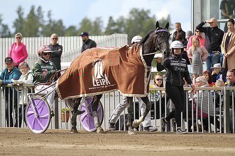 Com Miltonin ykköstila oli 6-vuotiaan ruunan kauden kolmas ja uran 13.