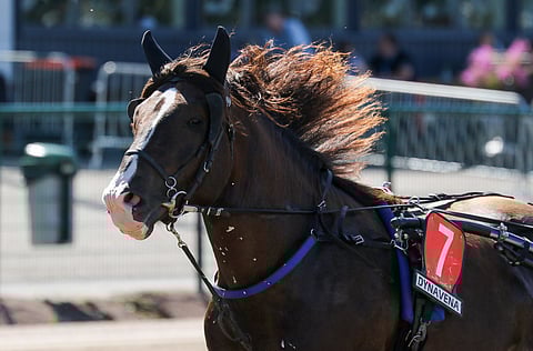 Ville Kalle teki karvoja nostattavan suorituksen Jokimaan Suur-Hollola-sarjassa.