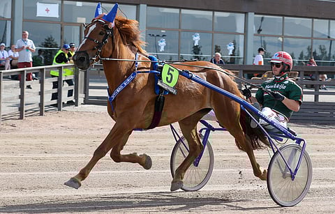 Virin Camillan eleganssia pääsee ihailemaan Kuopion Suomalaisessa illassa, joka avaa hienon kotimaan raviviikon.