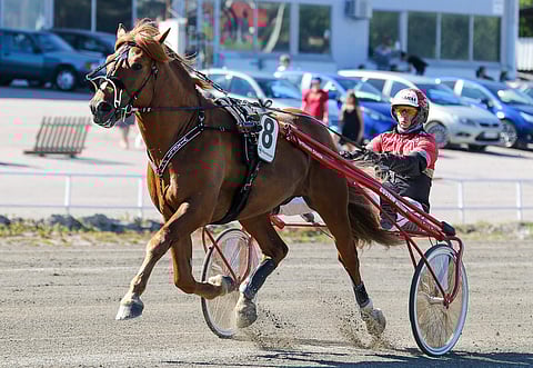 Tapio Perttusen Vixeli on Billie de Montfortin lisäksi ideasysteemin varma. Kymi GP-päivän Toto75-pelissä on jackpotrahaa jaossa 75 000 euroa ylimmälle voittoluokalle.