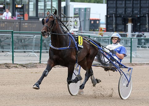 Whogonow on saattaa aloittaa jackpot+-kierroksen jyräämällä ykköseksi. Kuva: Anu Leppänen.