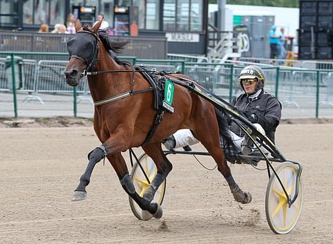 Zoom Zoom on väläytellyt Isto Kuismalta selvästi vajaan 40 000 euron voittosummaa kovempaa luokkaa.