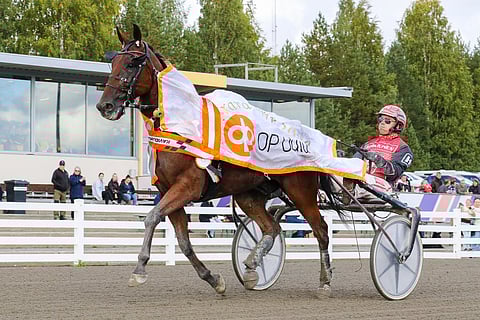 Big Headache avasi Kavioliigan syyskauden voitokkaasti Oulussa.