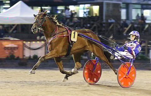 Bismarck Comery starttasi Harri Koivuselta 47 kertaa totosijoin 17-11-3 ja tienasi 47 349 euroa. Ura jatkuu Iikka Nurmosen tallista.