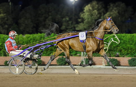 Cameron Evo kilpaili Harri Koivusen tallista menestyksekkäästi reilun kahden vuoden ajan.