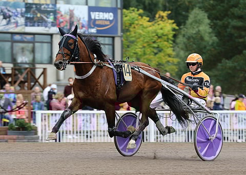 Dartagnan Sisu on selkeästi alipelattu.