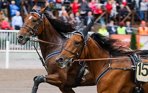 Better Boss löi Don WIlliamsin Käpylä Gramd Prix'ssä. Uusintaottelu jää Tammer-ajossa näkemättä.