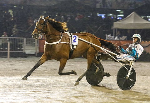 Double Exposure sijoittui viime vuonna Finlandia-ajossa kakkoseksi. Kuva: Anu Leppänen