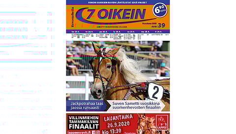 Kohti tammakilvan finaaleja