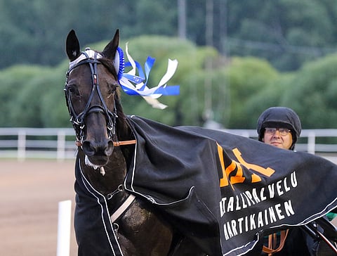 Dimitri Palmroosin valmentama Lady Luck hurjasteli viime perjantaina Vermossa 200 metrin pikamatkan aikaan 00,0.