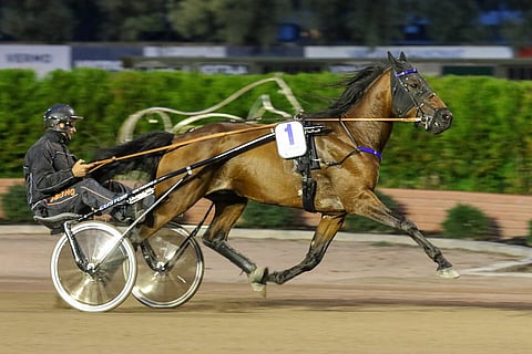 Le Gros Bill pystyy johtamaan lähdöstä maaliin.