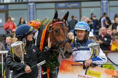 Mascate Matchin nettihuutokaupasta kehkeytyi huikea thrilleri.