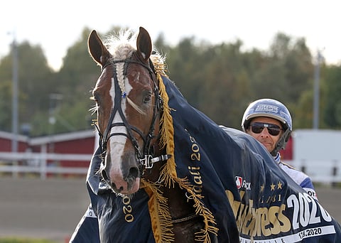 Pikkupelimanniajon voittanut Maurizo oli juhlittu sankari myös Oulu Express -finaalissa. Kuva: Anu Leppänen