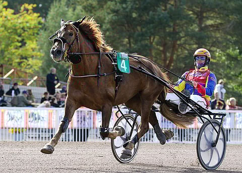Teemu Keskitalo on Terhi Vanhalan luottokuski. Arkistokuvassa Keskitalo Meren Mainingin kanssa.