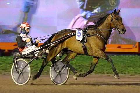 Timo Hulkkonen uskoo Next Directionin ehtivän Seinäjoki Raceen, vaikka tallissa kävi kevättalvella valmennusta häirinnyt virus.