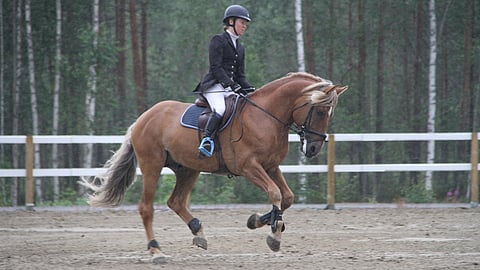 Hiljalan Fantom ja Veera Peltokangas estemestaruuksissa 2020.