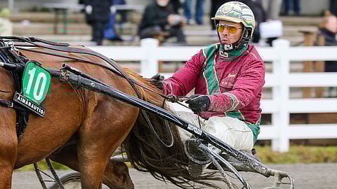 Veli-Pekka Toivasen ohjastama Walene on ideavihjeen tukipilari. Viimeksi tamma laukkasi mahdollisesti voittonsa.