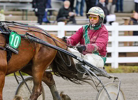 Veli-Pekka Toivasen ohjastama Walene on ideavihjeen tukipilari. Asetelmat ovat valjakolle erittäin suosiolliset.