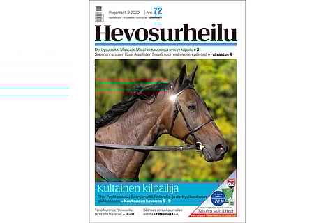 Thai Profit starttaa illalla Finlandia-ajossa. Kannen kuva: Anu Leppänen