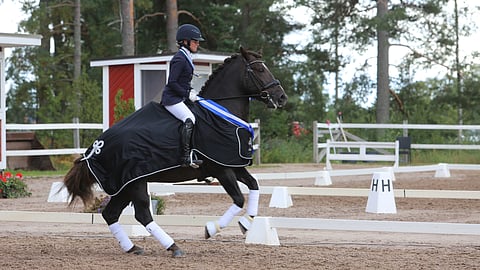Anna Kärkkäinen ja Kulta-ahon Kasimir lähtevät Karijoelle hakemaan neljättä mestaruuttaan. 