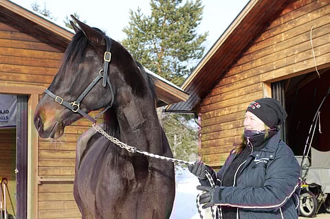 Sanna Kuusimäki kertoo saaneensa houkuttelevan työtarjouksen. Kuva: Hanna Viskari