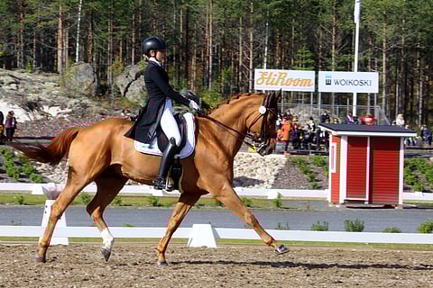 Wolle Wolkenstein on luotettava laatupeli.