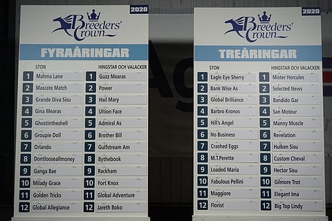 Breeders' Crown finaalien lähtöradat. Kuva: ATG Live