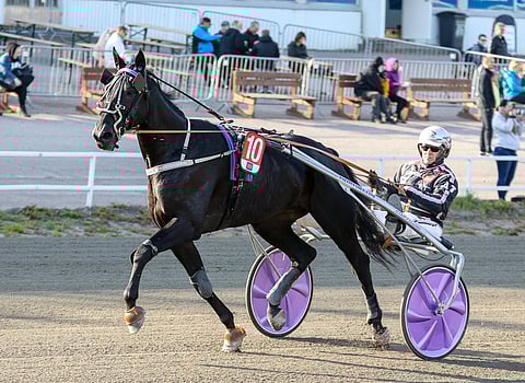 Com Tuff kilpaili aiemmin Matias Salon tallin väreista.