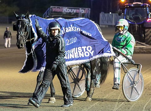 Consalvoa juhlittiin viime syksynä Kouvolassa Kymenlaaksoajon voittajana.