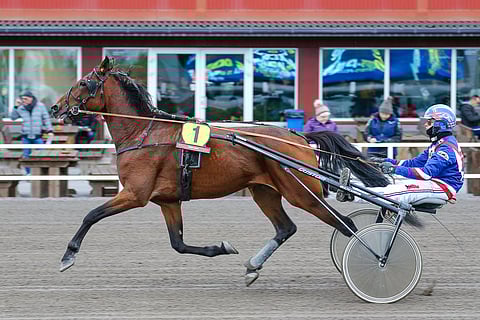Flex To Wheels palaa tänään puolen vuoden tauolta radoille. Kuva: Anu Leppänen