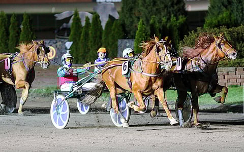 Joriinin kauden kuudes ja samalla koko uran arvokkain voitto oli 30 000 euron arvoinen. 2100 metrillä syntyi kengittä voittotulos 22,0a. Kuva: Anu Leppänen.