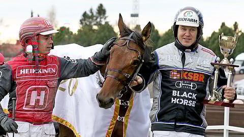 MAS Campin läpimurtokausi huipentui St Legerin voittoon.