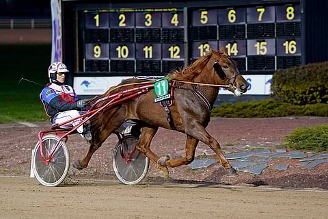 Matteus Kevätön otti uransa avausvoiton selvällä marginaalilla Varsakunkku-finaalissa. Kuva: Kirsi Kantokoski