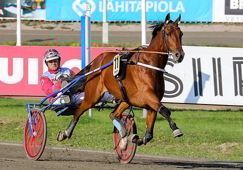 Trot Kronos menestyi Harri Koivusen tallista hyvin monté-lähdöissä, mutta kärryt perässäkin sitä nähtiin.