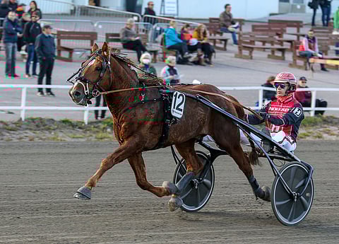 Vappuäijällä on Mikkelin maililla numero 11, mutta silti Santtu Raitalan ajokki on maltillisesti pelattuna suosikkina kiinnostava tukipilari.