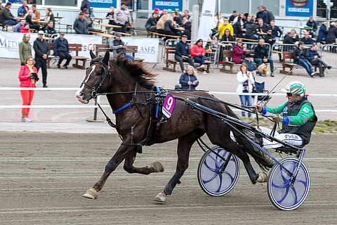 Ville Kalle voitti viime vuoden lokakuussa kriteriumin Markku Hietasen ohjastamana.