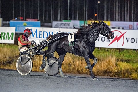Tapaturmaisesti menehtyneen 5-vuotiaan Fade to Blackin odotettiin vielä nousevan sarjoissa.