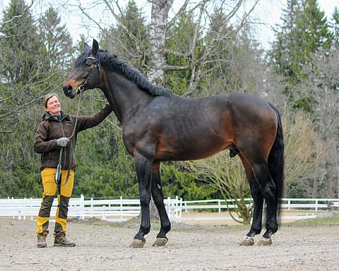 Tilastoykkönen Florentinus on liveori.