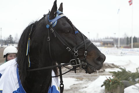 Järvsöfaks. Kuva: Jarno Unkuri