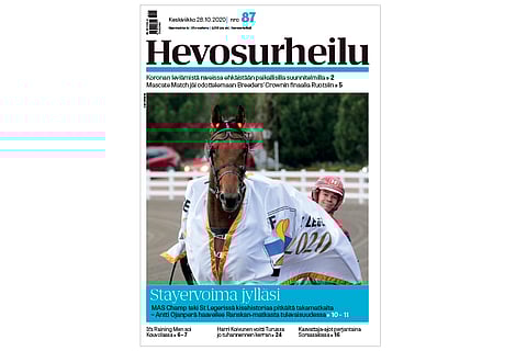 MAS Champ leiskautti pitkältä takamatkalta St. Legerin ykköseksi. Kannen kuva: Anu Leppänen