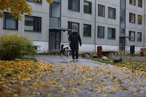 Maaret Gustavsson, ratsastuksen seura-aktiivi Helsingin Siltamäestä.
