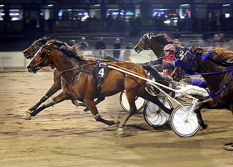 Viimeksi Combatant Motion (kärkikaksikosta ulompana) kilpaili Vermossa syyskuun viimeinen päivä. Silloin se jakoi voiton Taigo Blessedin kanssa.