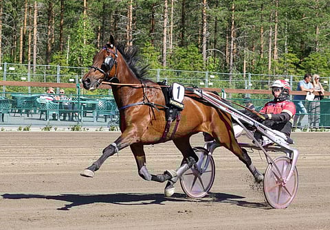 Big Sky Hurricane kilpaili juhannuksena Härmässä piilevästi kipeänä eikä palannut enää sen jälkeen tasolleen. Ura on nyt ohi.