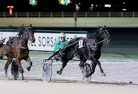 Ari Moilanen ajoi Consalvon keulapaikalta Kasvattajakruunu-voittoon.