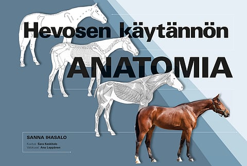 Kirja-arvio: Hevosen käytännön anatomia -teos on aktiivista käyttöä varten